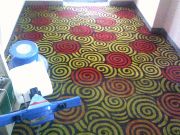 上海地毯清洗 地毯清洗杀虫消毒除菌